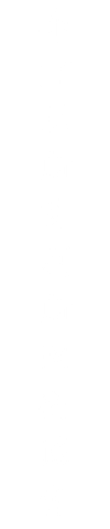 布
宜
諾
斯
艾
利
斯
國
術
協
會